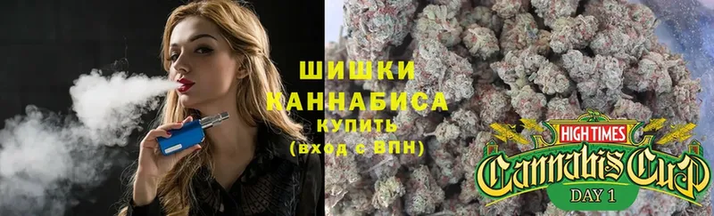 дарнет шоп  Закаменск  Бошки Шишки OG Kush 